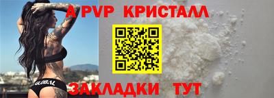 стаф Дубна