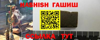 стаф Дубна