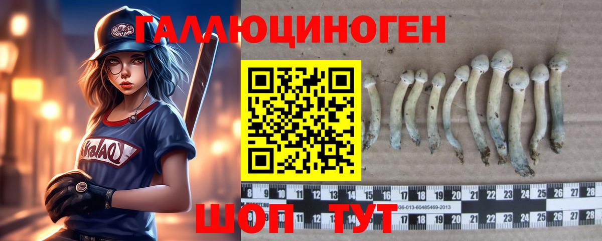 Псилоцибиновые грибы Magic Shrooms  Вход с VPN  Находка 
